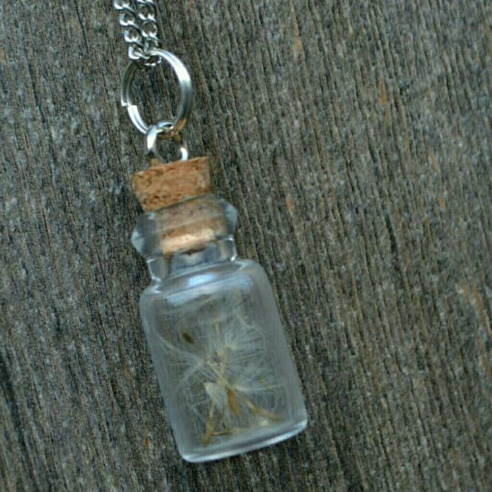 Glass Cork Bottle Dandelion Necklace